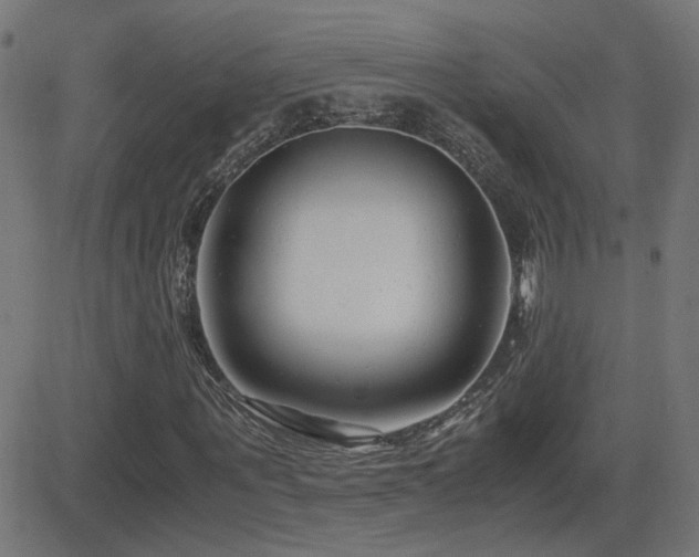 X0000081450867200701121229