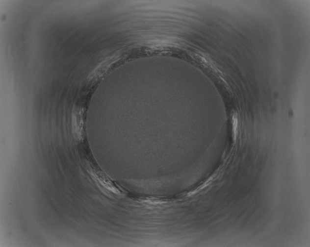 X0000081450868200701121229