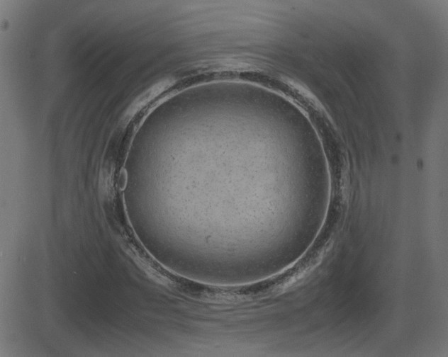 X0000081450873200701121229