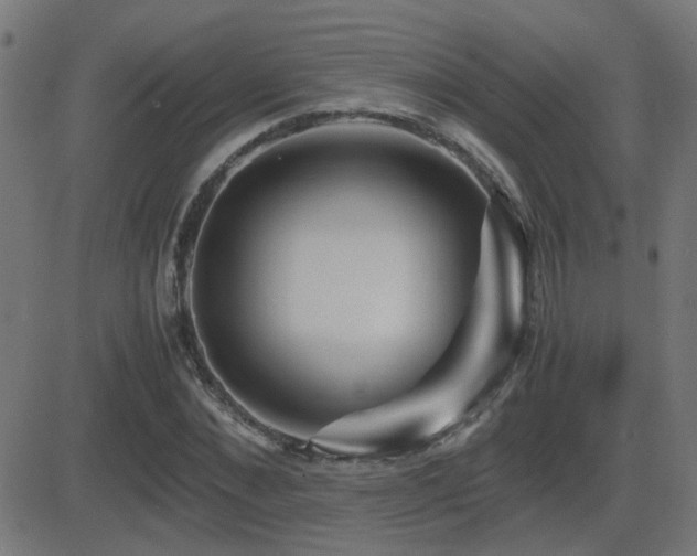 X0000081450876200701121229