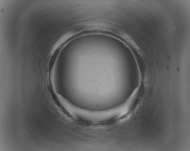 X0000081450877200701121229