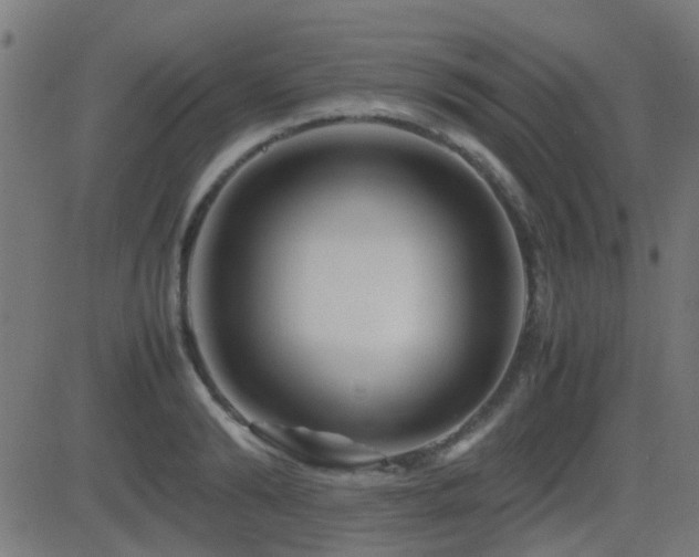 X0000081450894200701121228