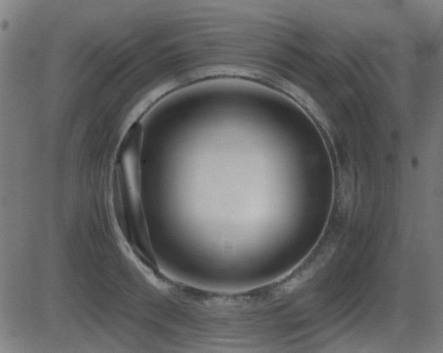X0000081450898200701121228