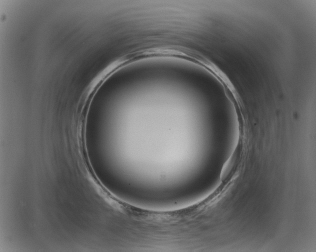 X0000081450909200701121228