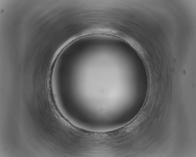 X0000081450912200701121228
