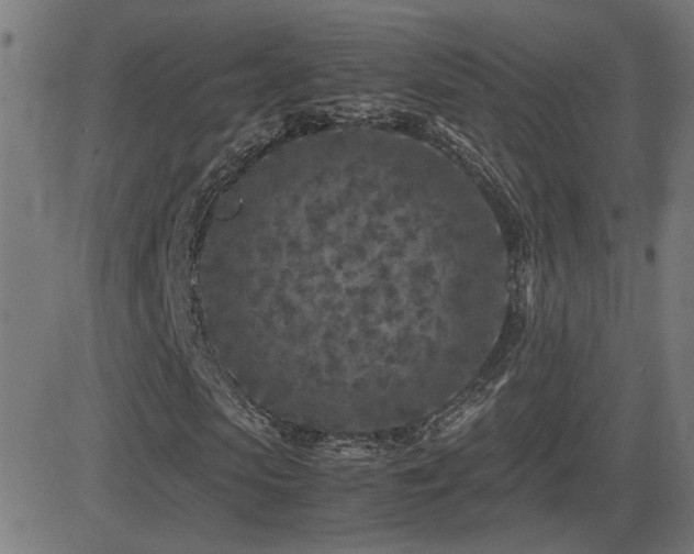 X0000081450913200701121227