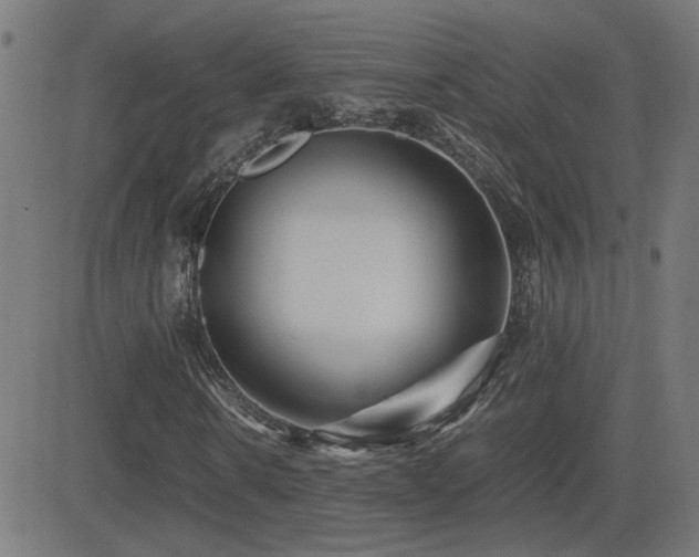 X0000081450914200701121227