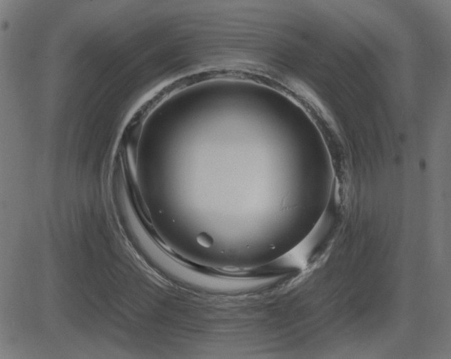 X0000081450924200701121227