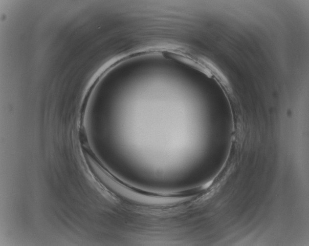 X0000081450948200701121228