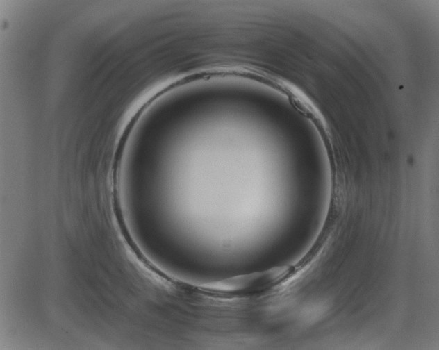 X0000081450951200701121228