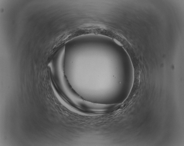 X0000081450965200701121227