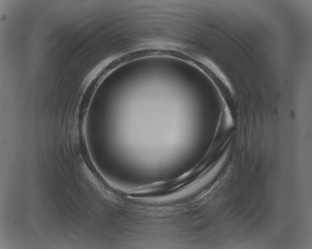 X0000081450972200701121227
