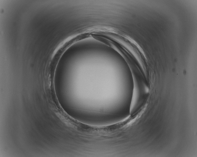 X0000081450973200701121227