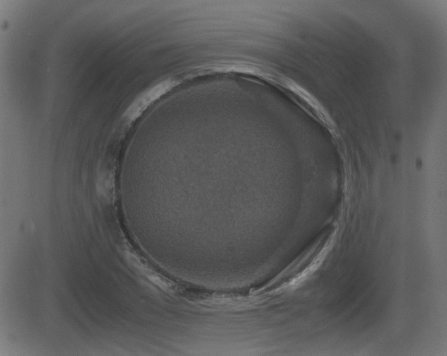 X0000081450977200701121227