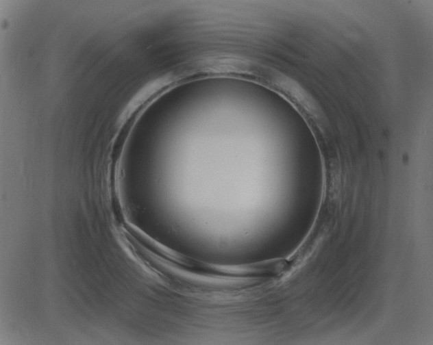 X0000081450986200701121227