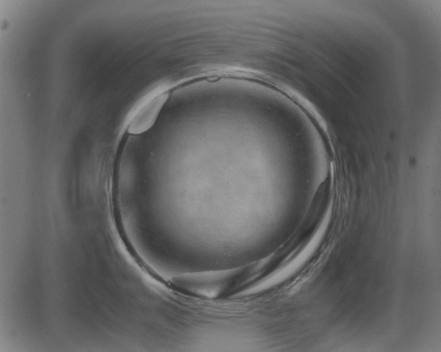 X0000081451007200701121226