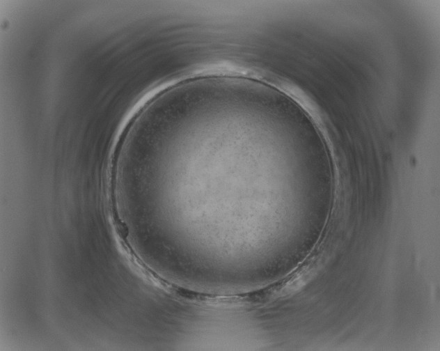 X0000081451008200701121226