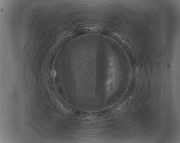 X0000081451009200701121226