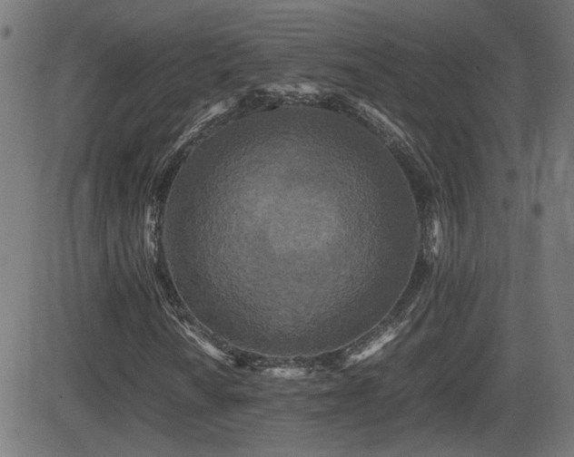 X0000081451010200701121226