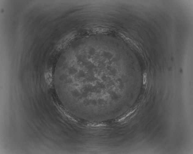 X0000081451011200701121226