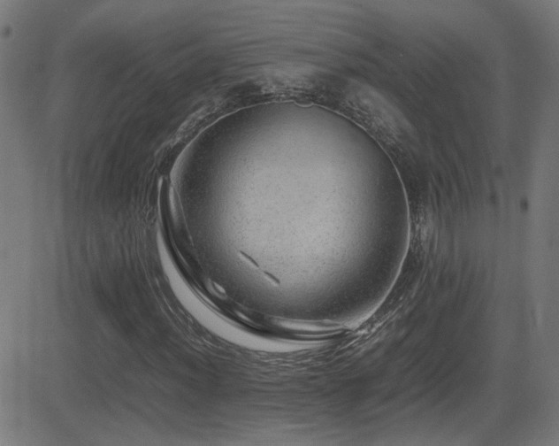 X0000081451012200701121226