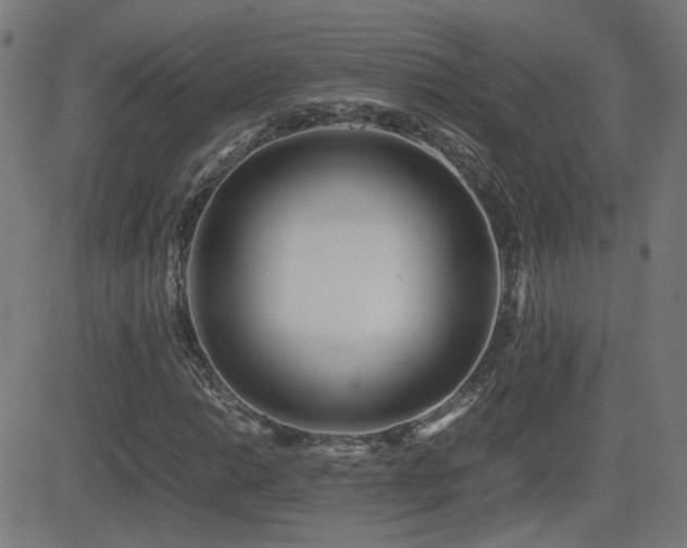 X0000081451014200701121226