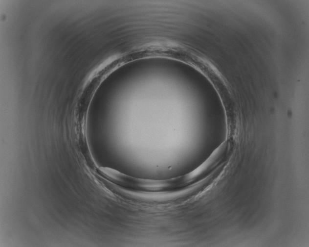 X0000081451018200701121226