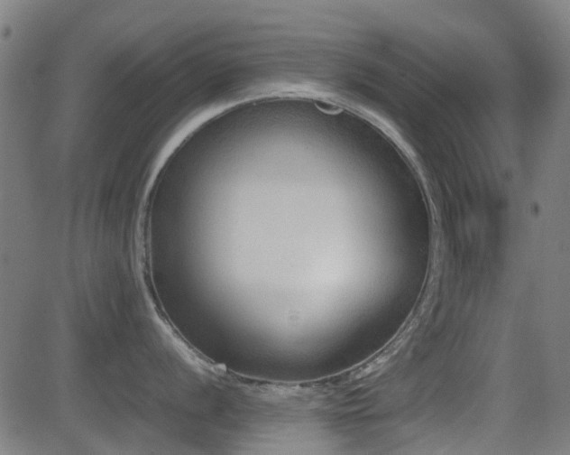 X0000081451056200701121226
