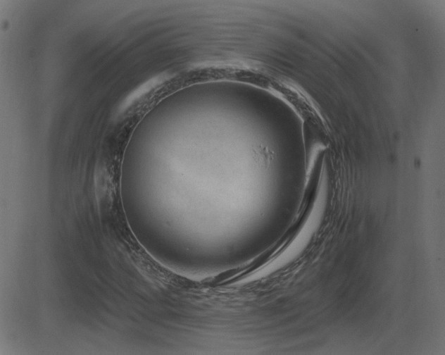 X0000081451064200701121225