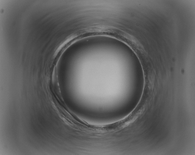 X0000081451073200701121225