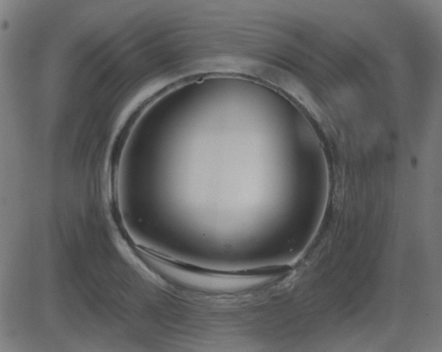X0000081451080200701121225
