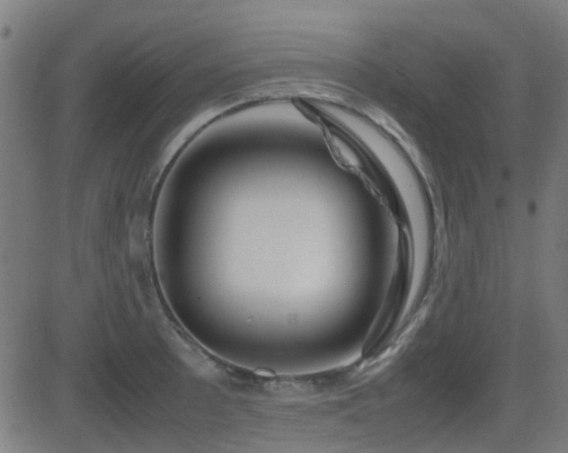 X0000081451089200701121225