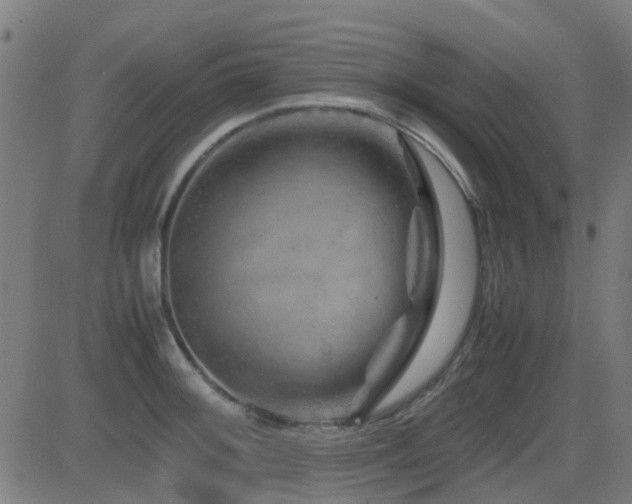 X0000081451092200701121225