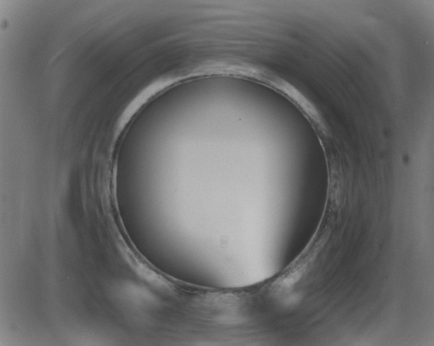 X0000081451094200701121225