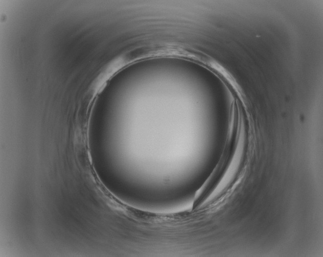 X0000081451097200701121225