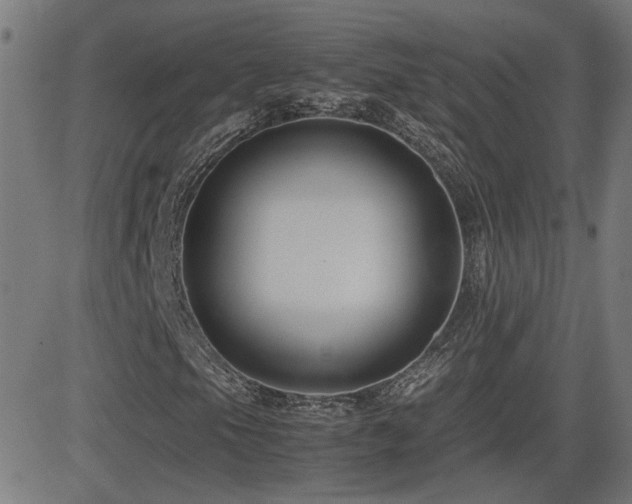 X0000081451105200701121224