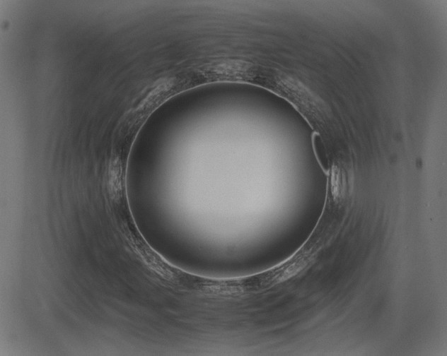 X0000081451107200701121224