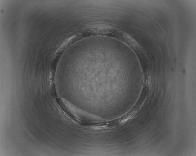 X0000081451108200701121224