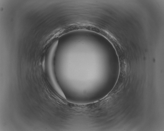 X0000081451110200701121224