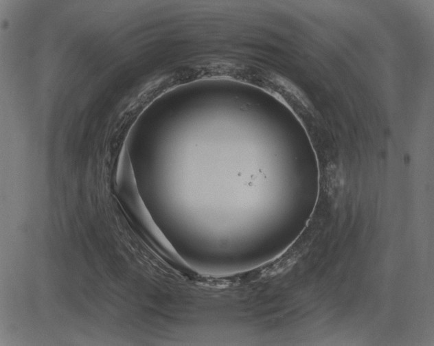 X0000081451111200701121224