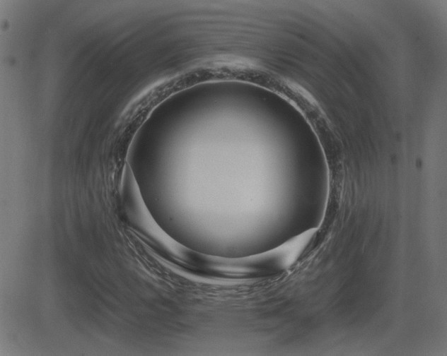 X0000081451112200701121224