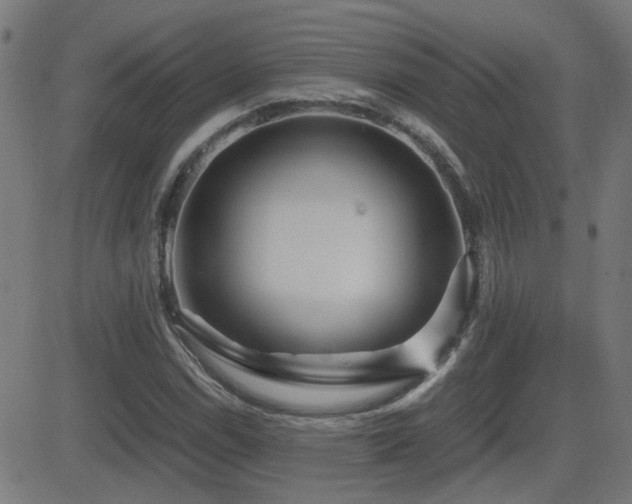 X0000081451114200701121224