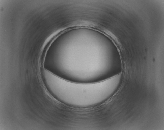 X0000081451120200701121224