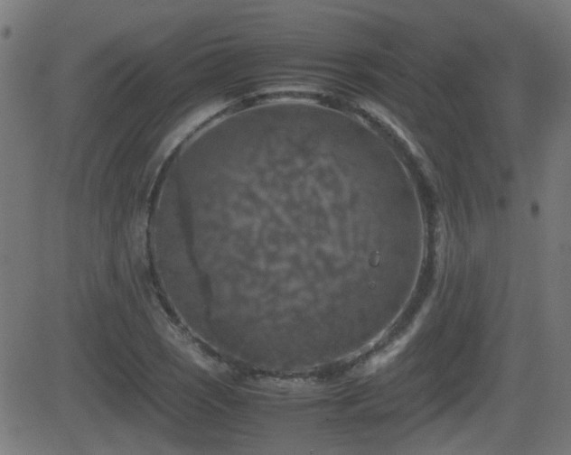 X0000081451121200701121224