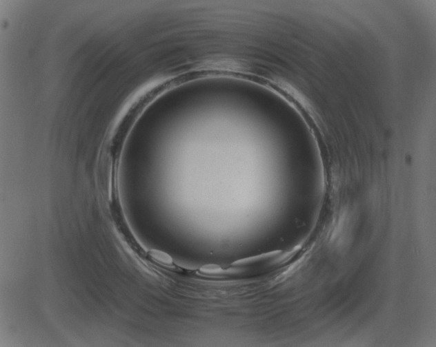 X0000081451123200701121224
