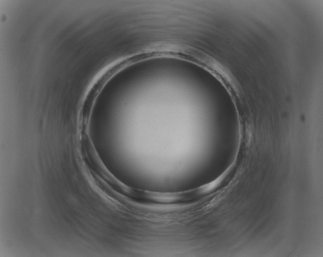 X0000081451124200701121224
