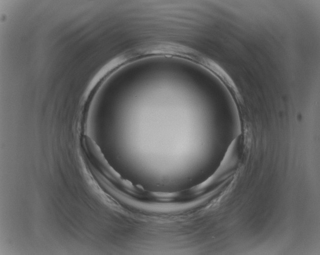 X0000081451138200701121225