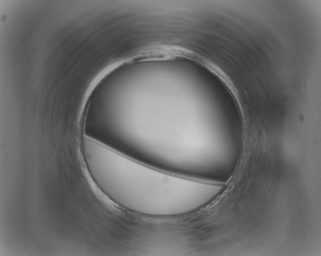 X0000081451152200701121225
