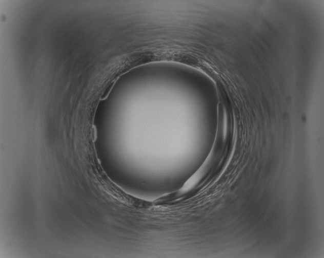 X0000081451153200701121224