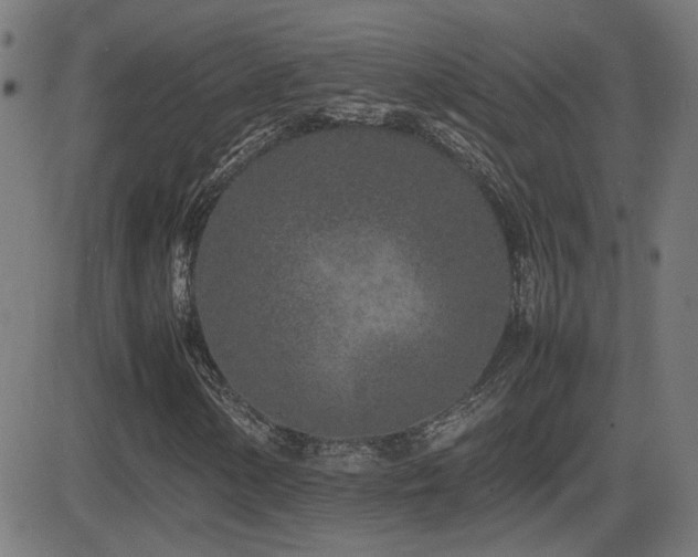 X0000081451154200701121224